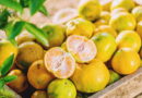 “ส้มเขียวหวาน” ประโยชน์ และข้อควรรู้ก่อนกิน