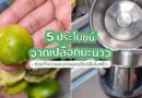 5 ประโยชน์จากเปลือกมะนาว เคล็ดลับช่วยทำความสะอาดและขจัดกลิ่นในครัว
