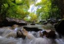 น้ำตกคลองลาน ในช่วงที่สวยงามที่สุดของปี สายน้ำยิ่งใหญ่อลังการ!