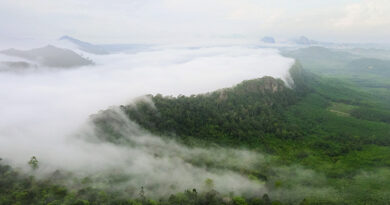 วังผาเมฆ ตรัง ชวนขึ้นเขาชมทะเลหมอก สัมผัสวิวสวยยามเช้า