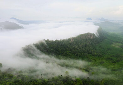 วังผาเมฆ ตรัง ชวนขึ้นเขาชมทะเลหมอก สัมผัสวิวสวยยามเช้า