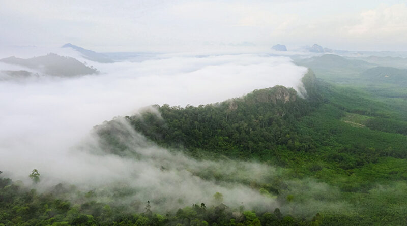 วังผาเมฆ ตรัง ชวนขึ้นเขาชมทะเลหมอก สัมผัสวิวสวยยามเช้า